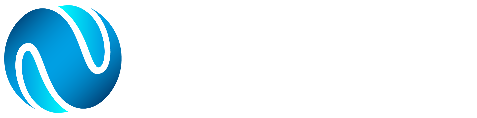 Navichem Logo